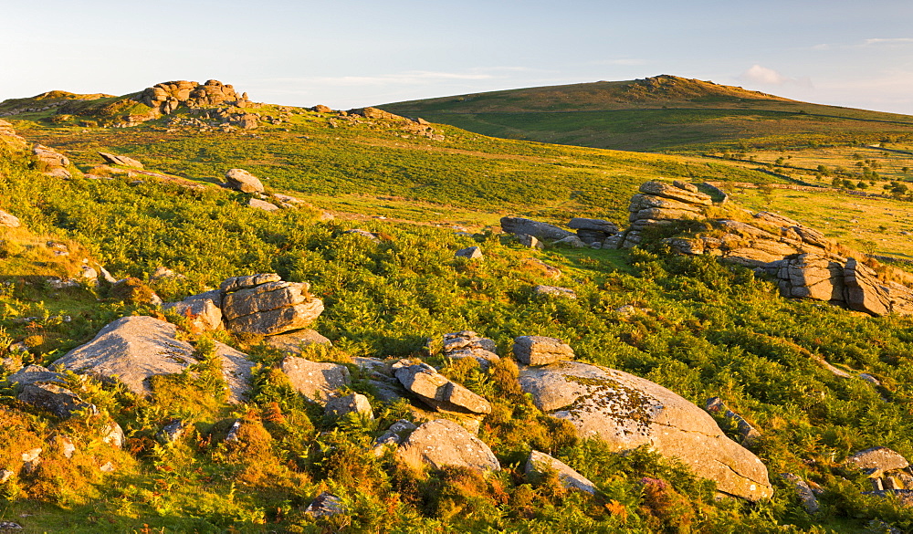 Low evening sunshine lights up the rocky moorland leading to Saddle Tor and Rippon Tor on the horizon, Dartmoor National Park, Devon, England, United Kingdom, Europe