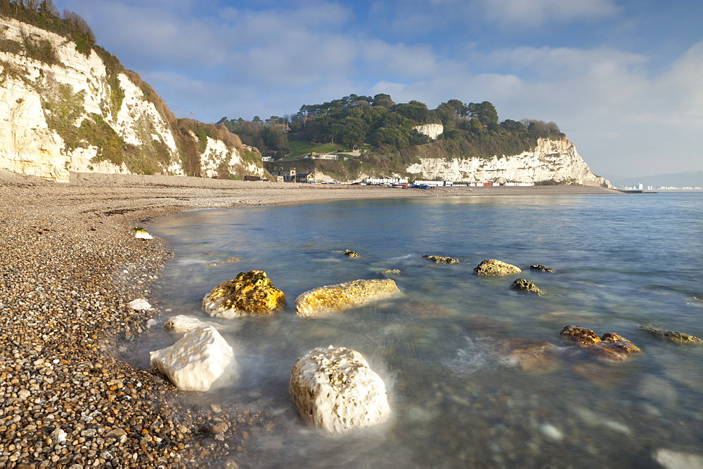 White cliffs at Beer, on the Jurassic Coast, UNESCO World Heritage Site, South Devon, England, United Kingdom, Europe