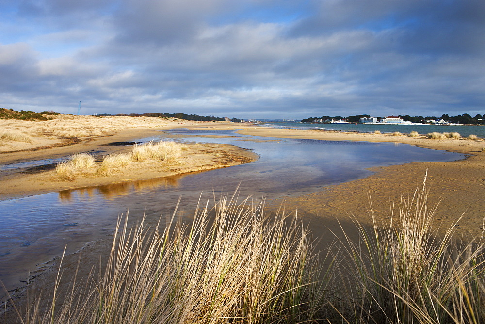 Shell Bay looking towards Sandbanks, Studland, Jurassic Coast, UNESCO World Heritage Site, Dorset, England, United Kingdom, Europe