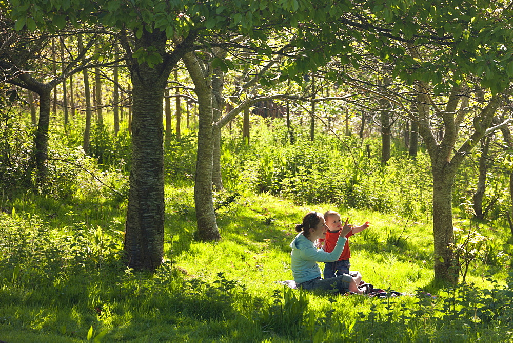 Young mother and inquisitive one year old toddler son in a woodland, Cutteridge Wood, Devon, England, United Kingdom, Europe