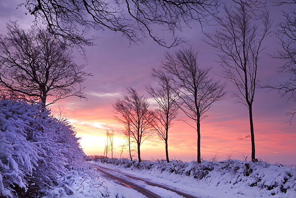 Snow covered country lane at dawn, Exmoor National Park, Somerset, England, United Kingdom, Europe