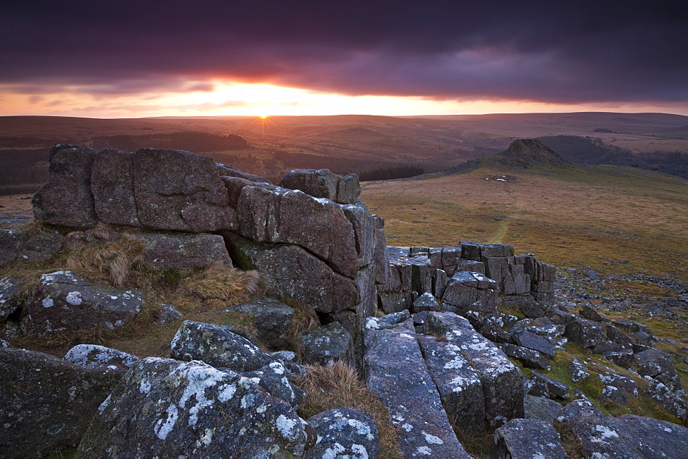 Leather Tor from Sharpitor at sunrise, Dartmoor National Park, Devon, England, United Kingdom, Europe