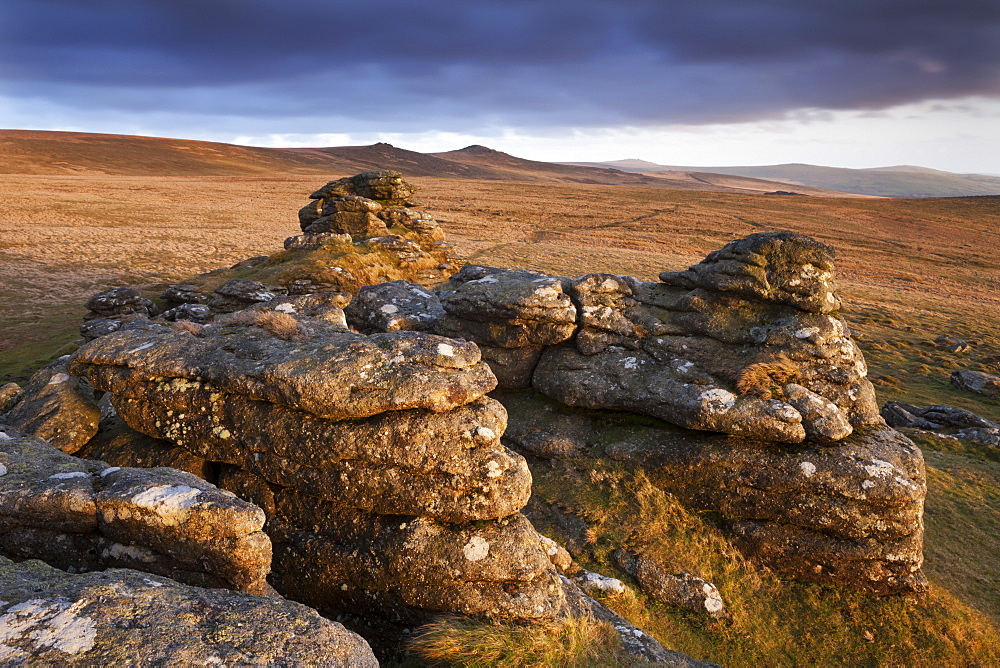 Evening sunlight on Arms Tor, looking towards Chat Tor and Hare Tor, Dartmoor National Park, Devon, England, United Kingdom, Europe