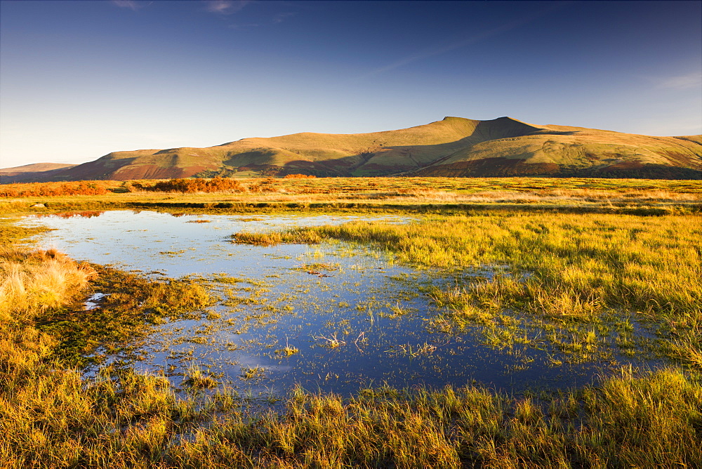 Brecon Beacons Mountain range, including Pen y Fan viewed from Mynydd Illtud Common, Brecon Beacons , Wales, United Kingdom, Europe