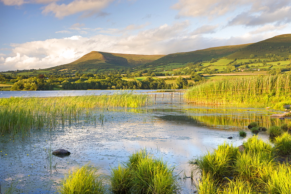 Mynydd Troed mountain from the sunlit shores of Llangorse Lake, Brecon Beacons National Park, Powys, Wales, United Kingdom, Europe