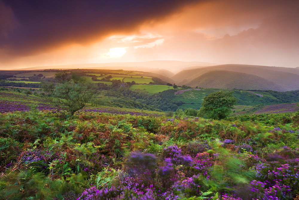 Stormy sunset over Exmoor moorland near Easter Hill, Exmoor National Park, Somerset, England, United Kingdom, Europe