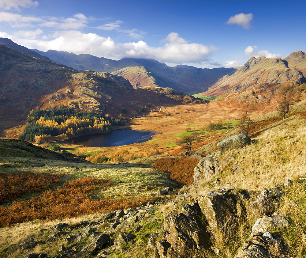 Blea Tarn and Langdale Fell, Lake District National Park, Cumbria, England, United Kingdom, Europe