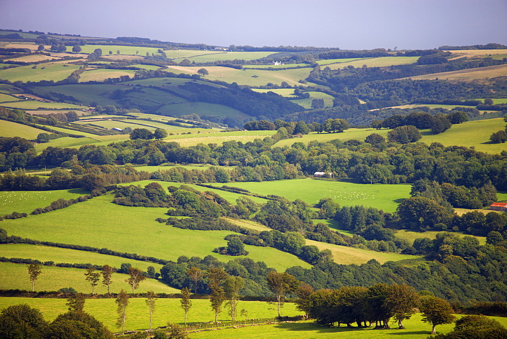 Rolling green landscape in summertime, Exmoor National Park, Somerset, England, United Kingdom, Europe