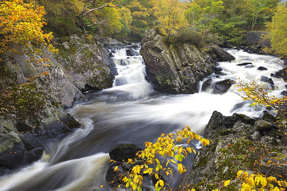 Autumn foliage surrounds the river Garbe Uisge at the Falls of Leny near Callander, Stirling, Scotland, United Kingdom, Europe