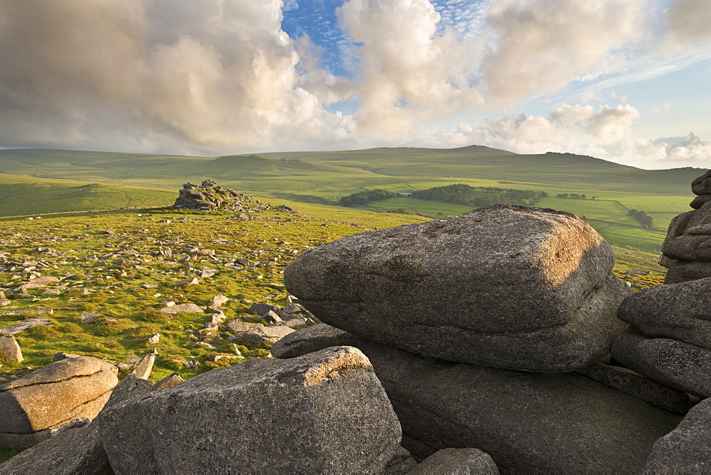 Vista towards Yes Tor from Belstone Ridge, Dartmoor, Devon, England, United Kingdom, Europe