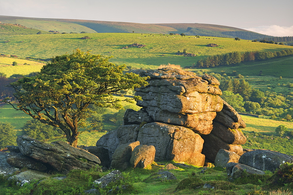 Dartmoor moorland and countryside in summer time, Saddle Tor, Dartmoor, Devon, England, United Kingdom, Europe