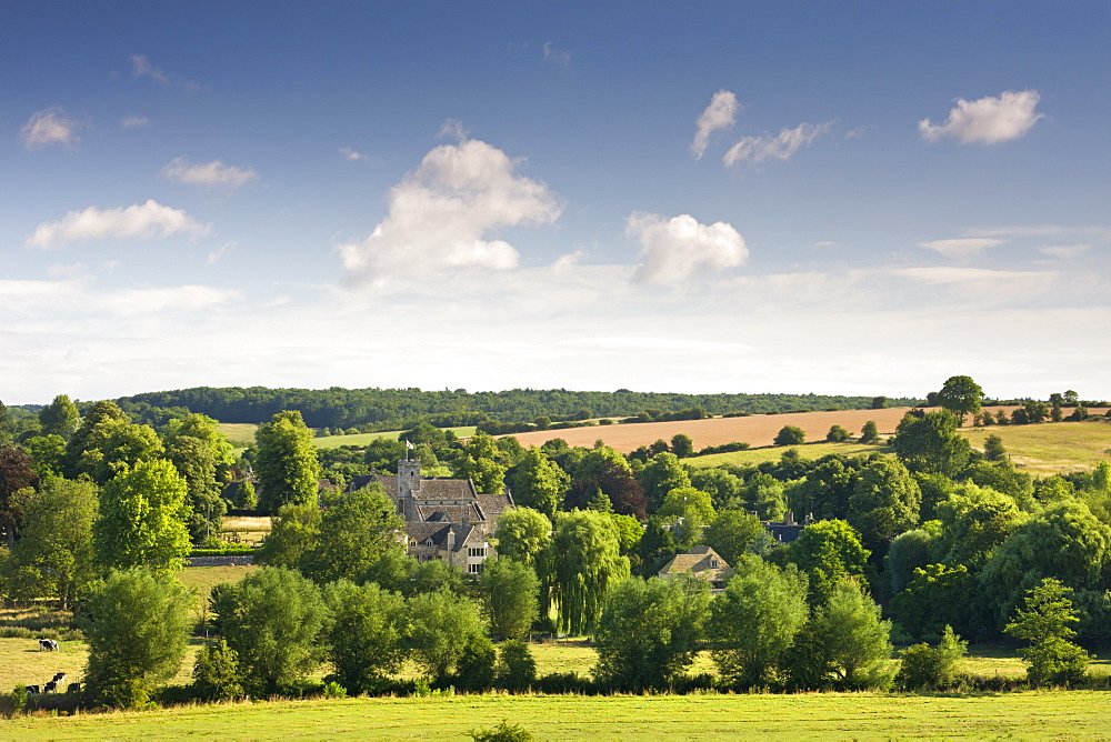 Pretty countryside surrounding the Cotswolds village of Swinbrook, Oxfordshire, England, United Kingdom, Europe 