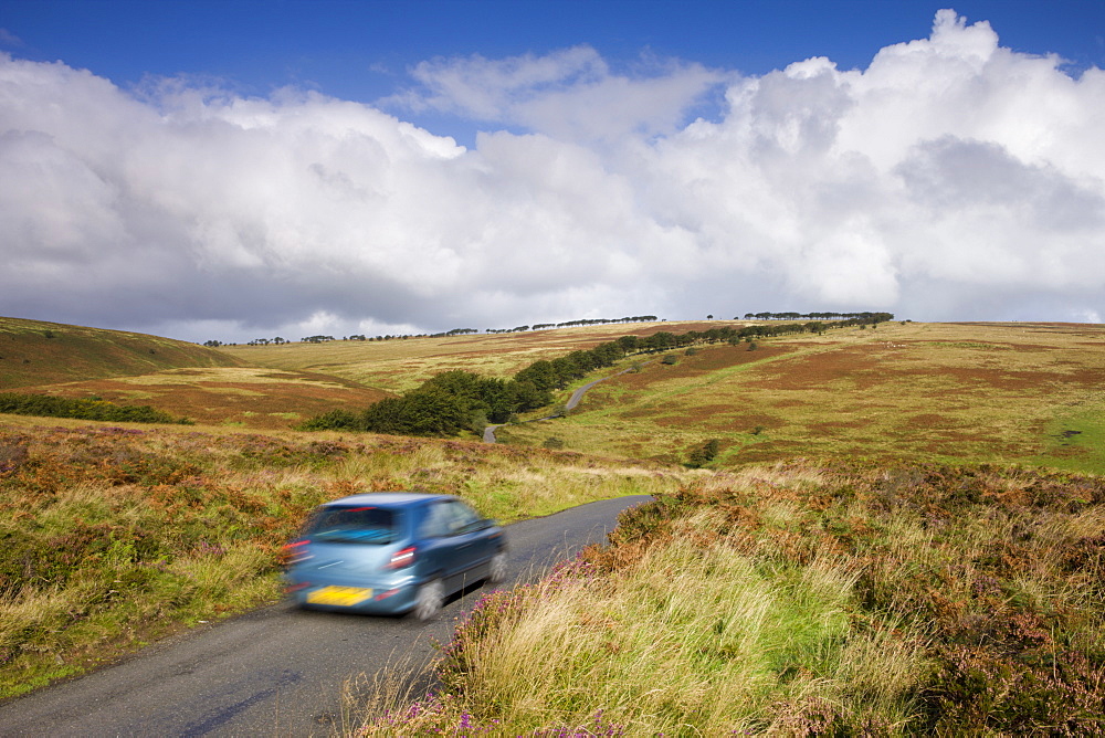 Tourists driving through the moorland of Exmoor National Park, Somerset, England, United Kingdom, Europe