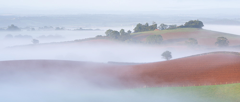 Mist covered rolling farmland, Newbuildings, Devon, England, United Kingdom, Europe 