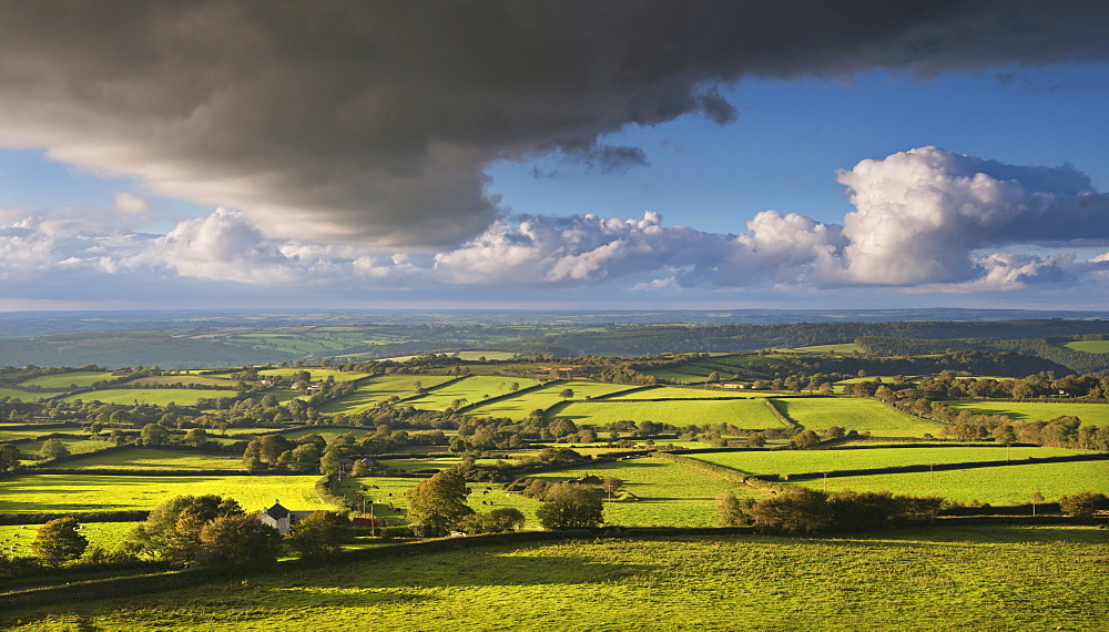 Rolling countryside near Brentor, Dartmoor, Devon, England, United Kingdom, Europe 