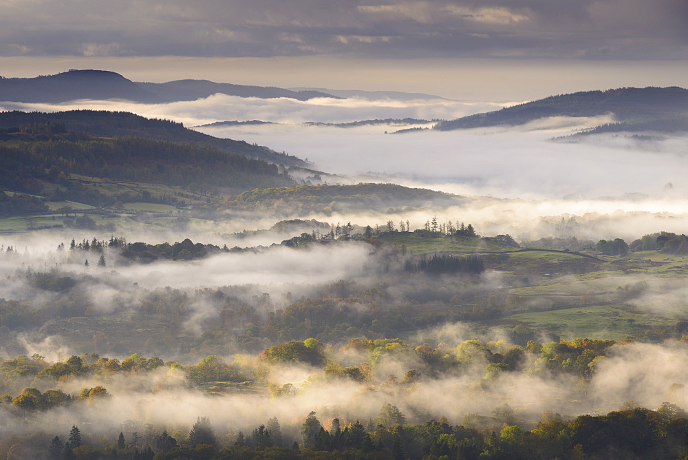 Mist covered Lake District countryside at dawn, Cumbria, England, United Kingdom, Europe 