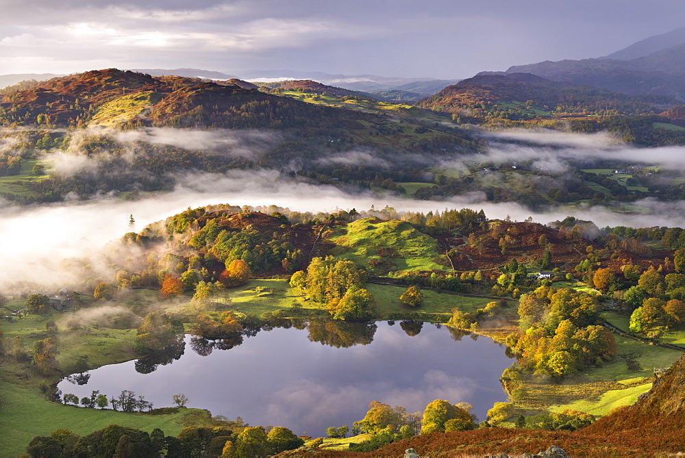 Loughrigg Tarn surrounded by misty autumnal countryside, Lake District National Park, Cumbria, England, United Kingdom, Europe 