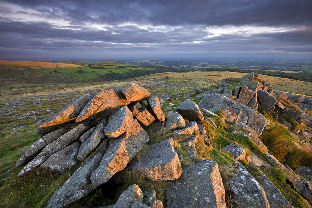 Early morning sunlight lights up the granite rocks of Belstone Tor, Dartmoor National Park, Devon, England, United Kingdom, Europe 