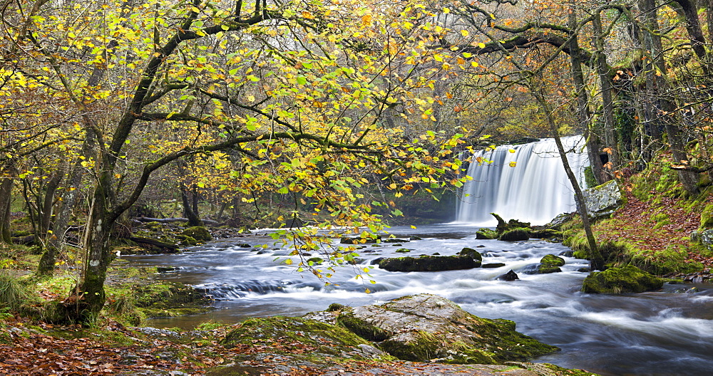 Sgwd Ddwli waterfall on the Nedd Fechan river near Ystradfellte, Brecon Beacons National Park, Powys, Wales, United Kingdom, Europe 