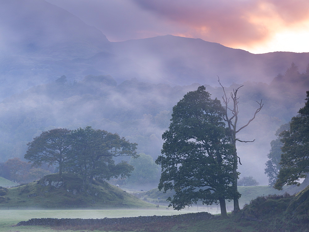 Atmospheric misty sunset near Elterwater, Lake District National Park, Cumbria, England, United Kingdom, Europe 