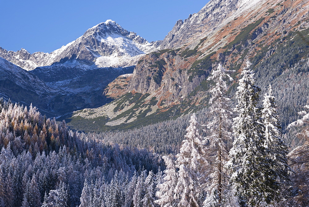 Snow dusted mountains and pine forests of the High Tatras, Tatra Mountains, Slovakia, Europe 