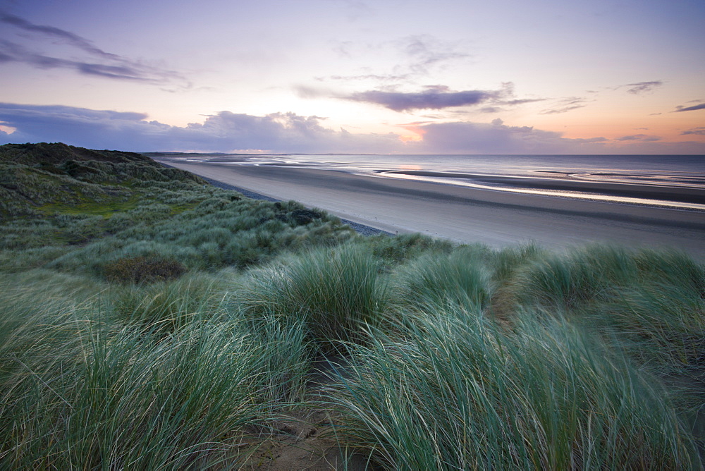 Sand dunes at Murlough Nature Reserve, with views to Dundrum Bay, County Down, Ulster, Northern Ireland, United Kingdom, Europe