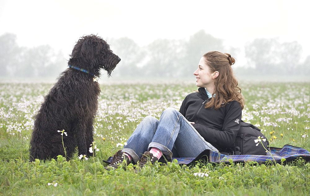 Young woman smiling at Labradoodle pet dog, Wiltshire, England, United Kingdom, Europe