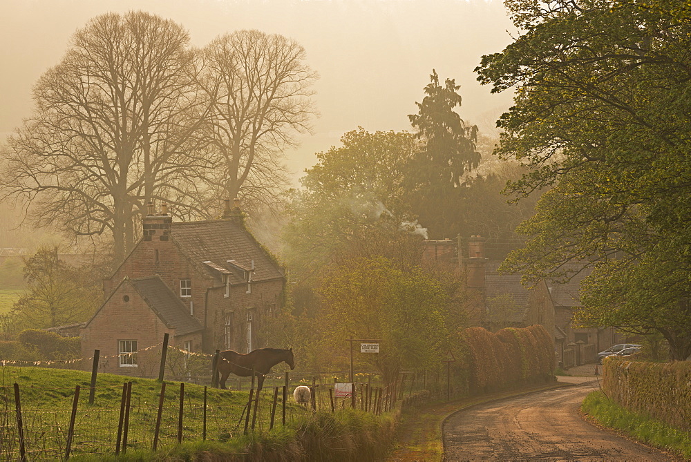 Cottages in the village of Chillingham on a misty Spring morning, Northumberland, England, United Kingdom, Europe 