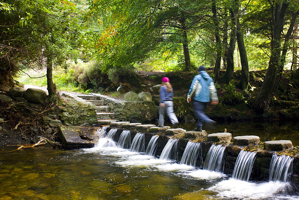 Walkers crossing stepping stones over a cascading stream in Tollymore Forest Park, County Down, Ulster, Northern Ireland, United Kingdom, Europe