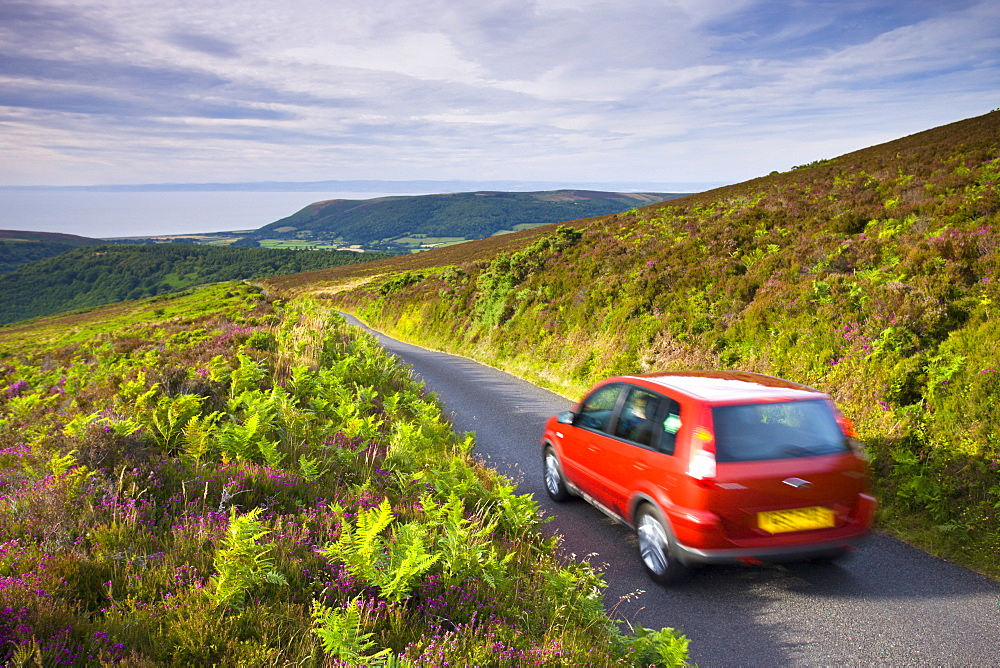 Car driving down Dunkery Hill on a small lane, Exmoor National Park, Somerset, England, United Kingdom, Europe 