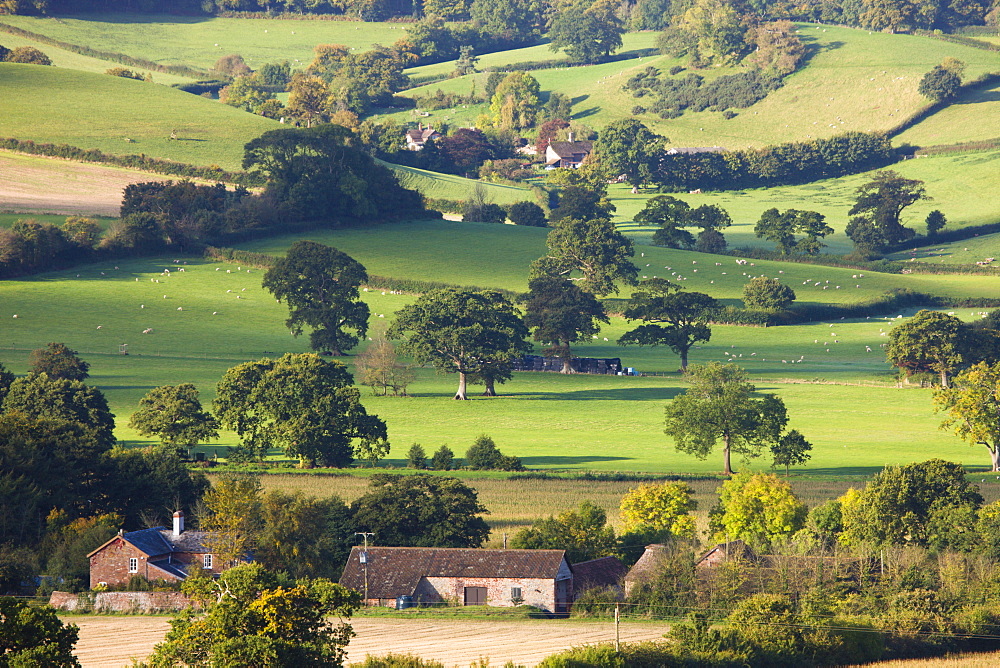 Looking across open countryside to Blackford and Luccombe, Exmoor National Park, Somerset, England, United Kingdom, Europe