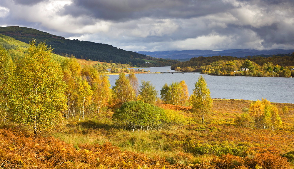 Autumn colours beside Loch Garry in the Scottish Highlands, Scotland, United Kingdom, Europe 