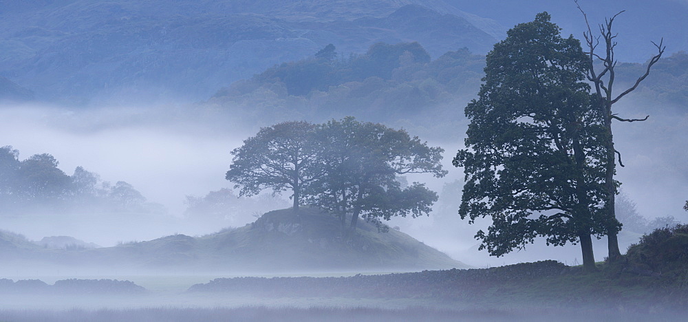 Atmospheric misty autumn evening beside the River Brathay in the Lake District, Cumbria, England, United Kingdom, Europe 