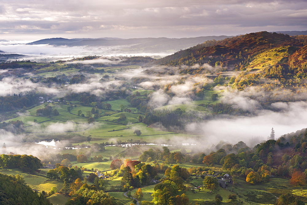 Patches of morning mist float above countryside near the River Brathay in autumn, Lake District National Park, Cumbria, England, United Kingdom, Europe 