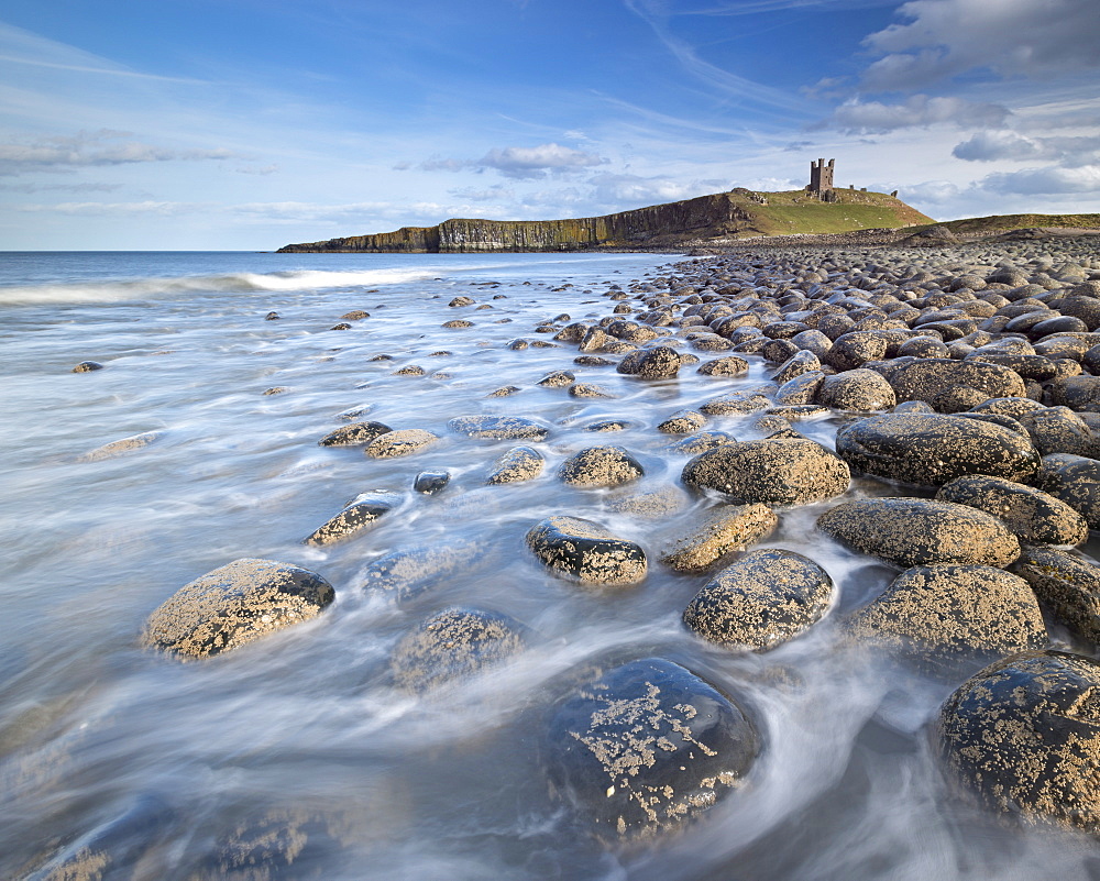 The ruins of Dunstanburgh Castle overlooking the boulder strewn shores of Embleton Bay, Northumberland, England, United Kingdom, Europe 