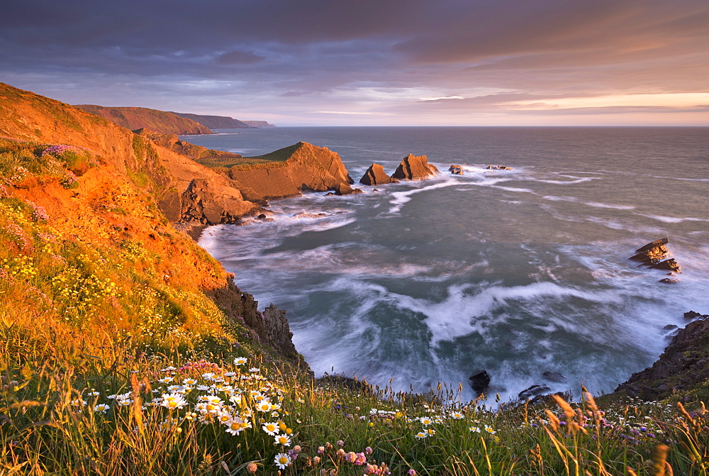 Glorious evening sunlight illuminates the dramatic cliffs of Hartland Quay, looking towards Screda Point, Devon, England, United Kingdom, Europe 