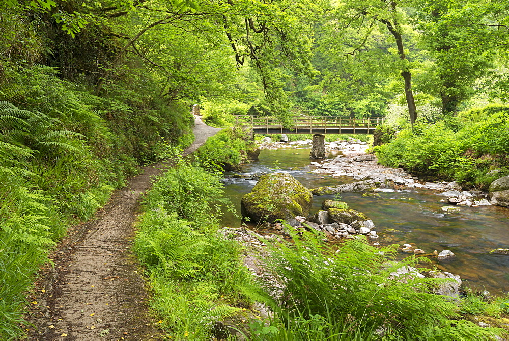 East Lyn River at Watersmeet, Exmoor National Park, Devon, England, United Kingdom, Europe 