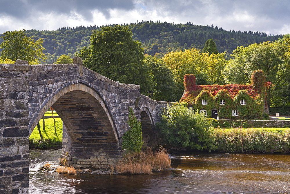 Ty Hwnt i'r Bont ivy covered cottage and tea rooms beside stone bridge crossing the River Conwy at Llanwrst, Snowdonia National Park, Wales, United Kingdom, Europe