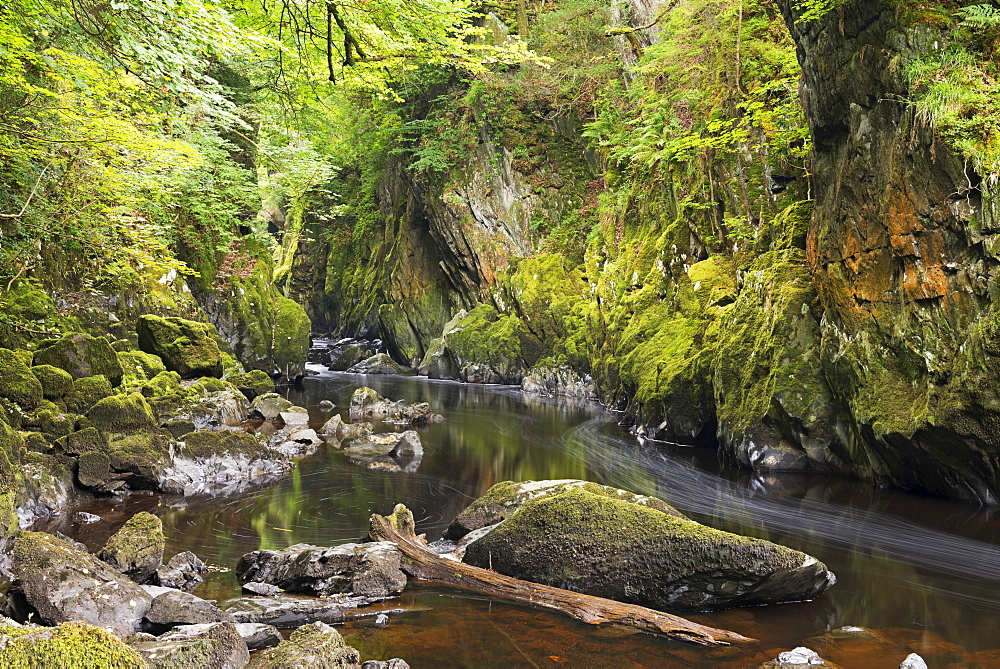 The Fairy Glen, Betws-y-Coed, Snowdonia National Park, Wales, United Kingdom, Europe