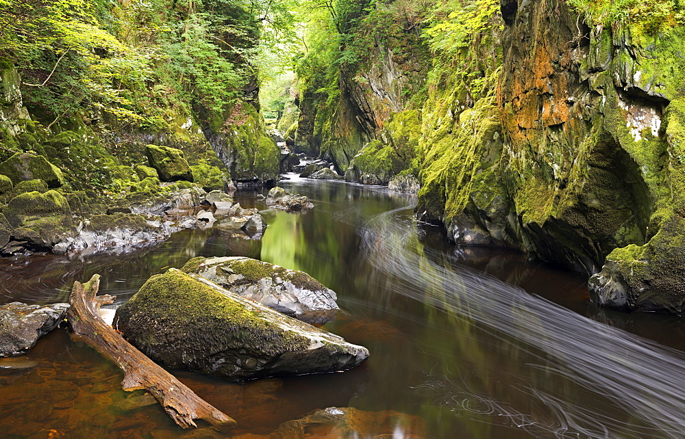 River Conwy running through the Fairy Glen, Betws-y-Coed, Snowdonia National Park, Wales, United Kingdom, Europe