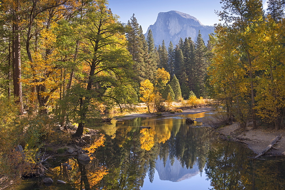 Half Dome and fall foliage reflected in the Merced River, Yosemite Valley, Yosemiite National Park, UNESCO World Heritage Site, California, United States of America, North America