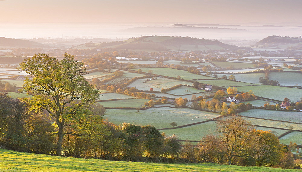 Misty Glastonbury Tor and the Somerset Levels from the Mendip Hills, Somerset, England, United Kingdom, Europe