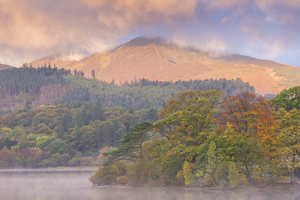 Autumn foliage on the banks of Derwentwater at dawn, Lake District National Park, Cumbria, England, United Kingdom, Europe