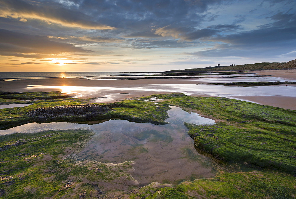 Gorgeous sunrise over Embleton Beach, looking towards Dunstanburgh Castle, Northumberland, England, United Kingdom, Europe