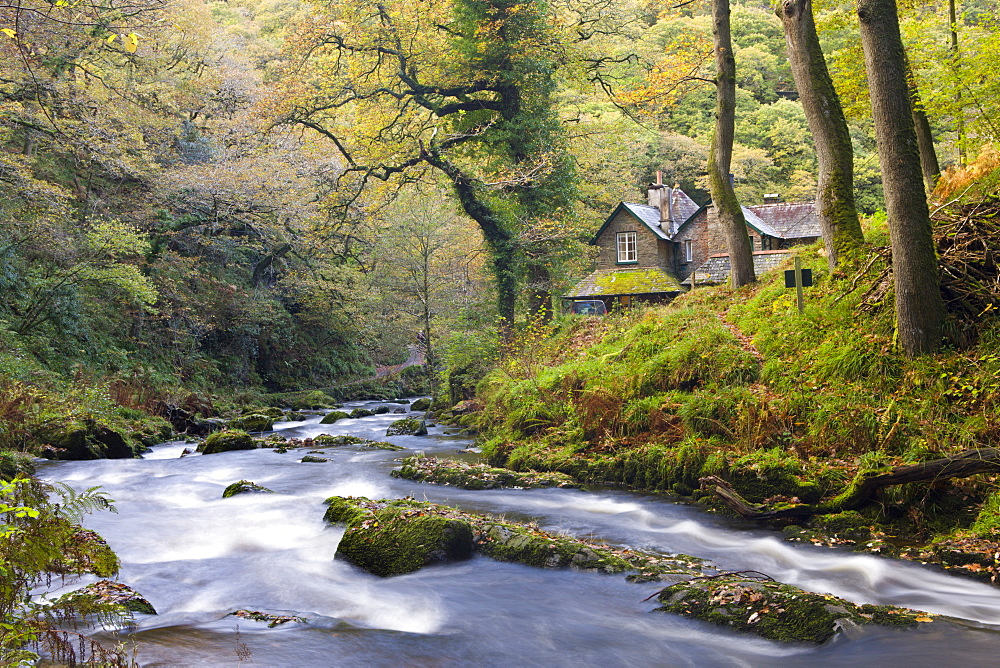 Watersmeet in the autumn, Exmoor National Park, Devon, England, United Kingdom, Europe