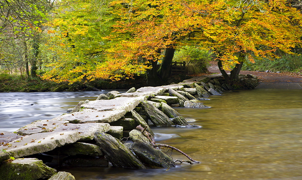 Autumn at Tarr Steps on the River Barle, Exmoor National Park, Somerset, England, United Kingdom, United Kingdom, Europe