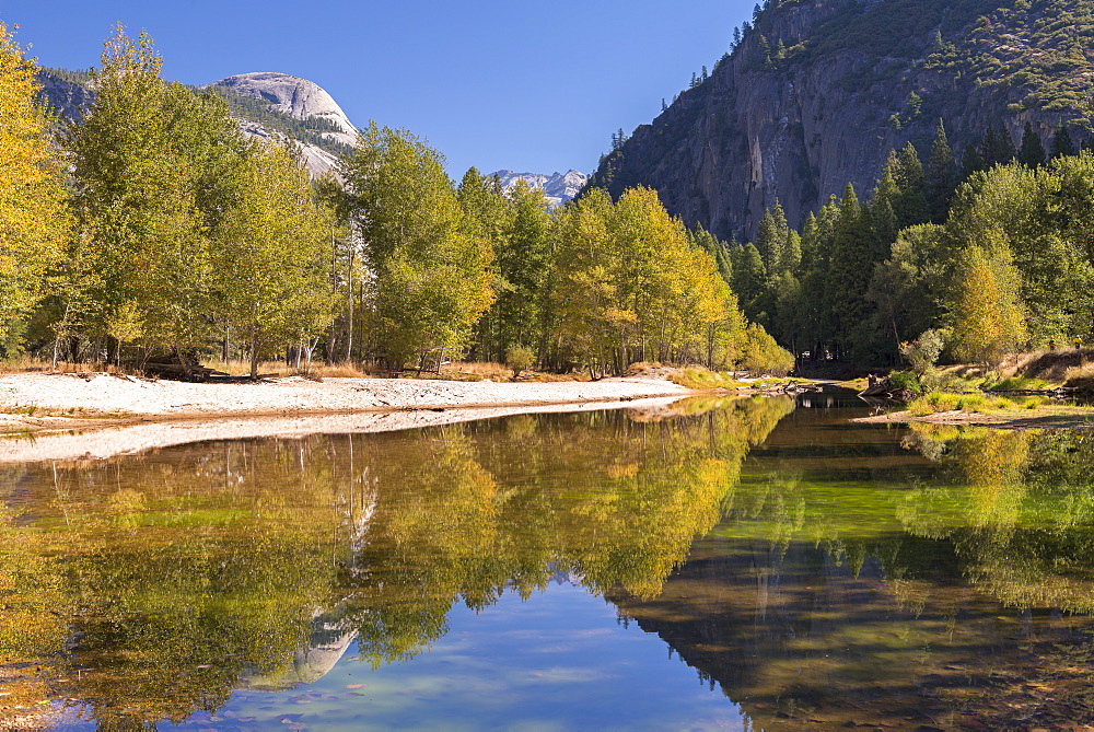 Autumn colours along the banks of the River Merced, Yosemite Valley, California, United States of America, North America