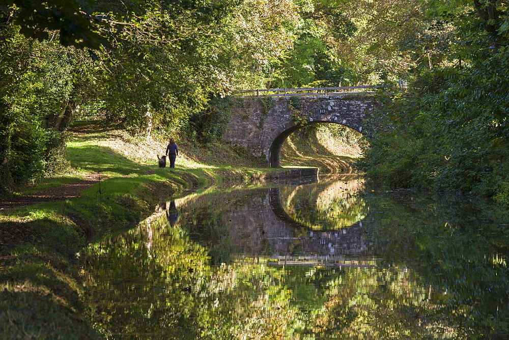 Young woman walking dog along a canal towpath in the Brecon Beacons National Park, Monmouthshire and Brecon Canal, Powys, Wales, United Kingdom, Europe