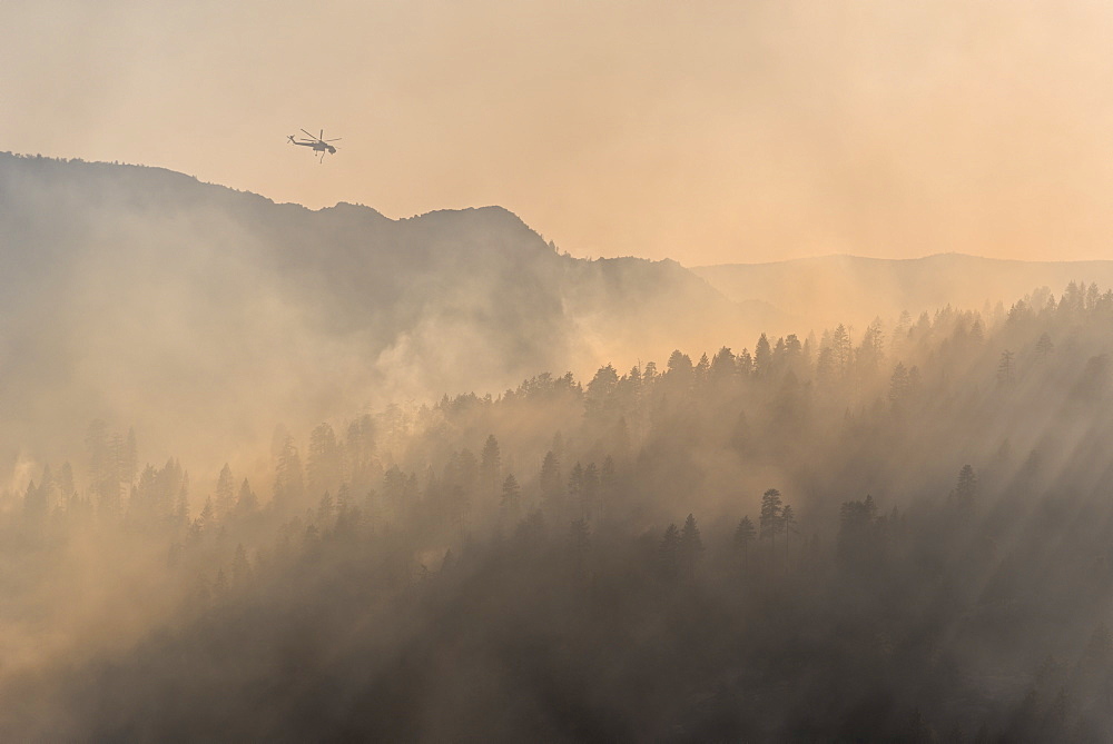 Firefighting helicopter fighting the Dog Rock wildfire above the smoke filled forests of Yosemite National Park, UNESCO World Heritage Site, California, United States of America, North America