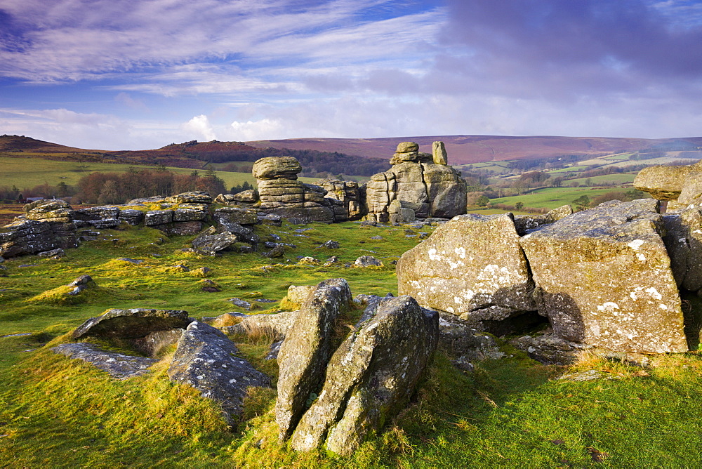 Winter morning sunshine glows on Hound Tor, Dartmoor National Park, Devon, England, United Kingdom, Europe